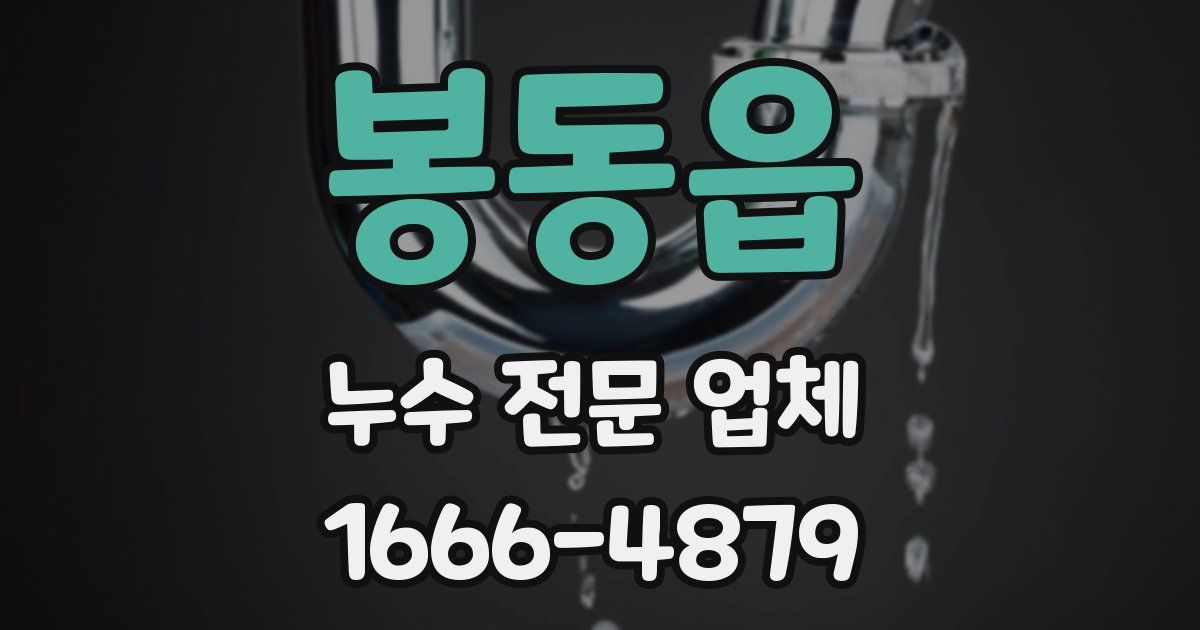 봉동읍 누수 전문 업체
