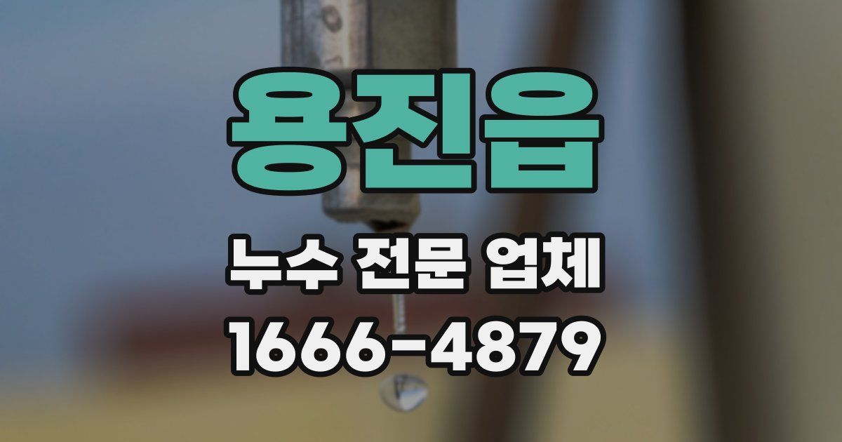 용진읍 누수 전문 업체