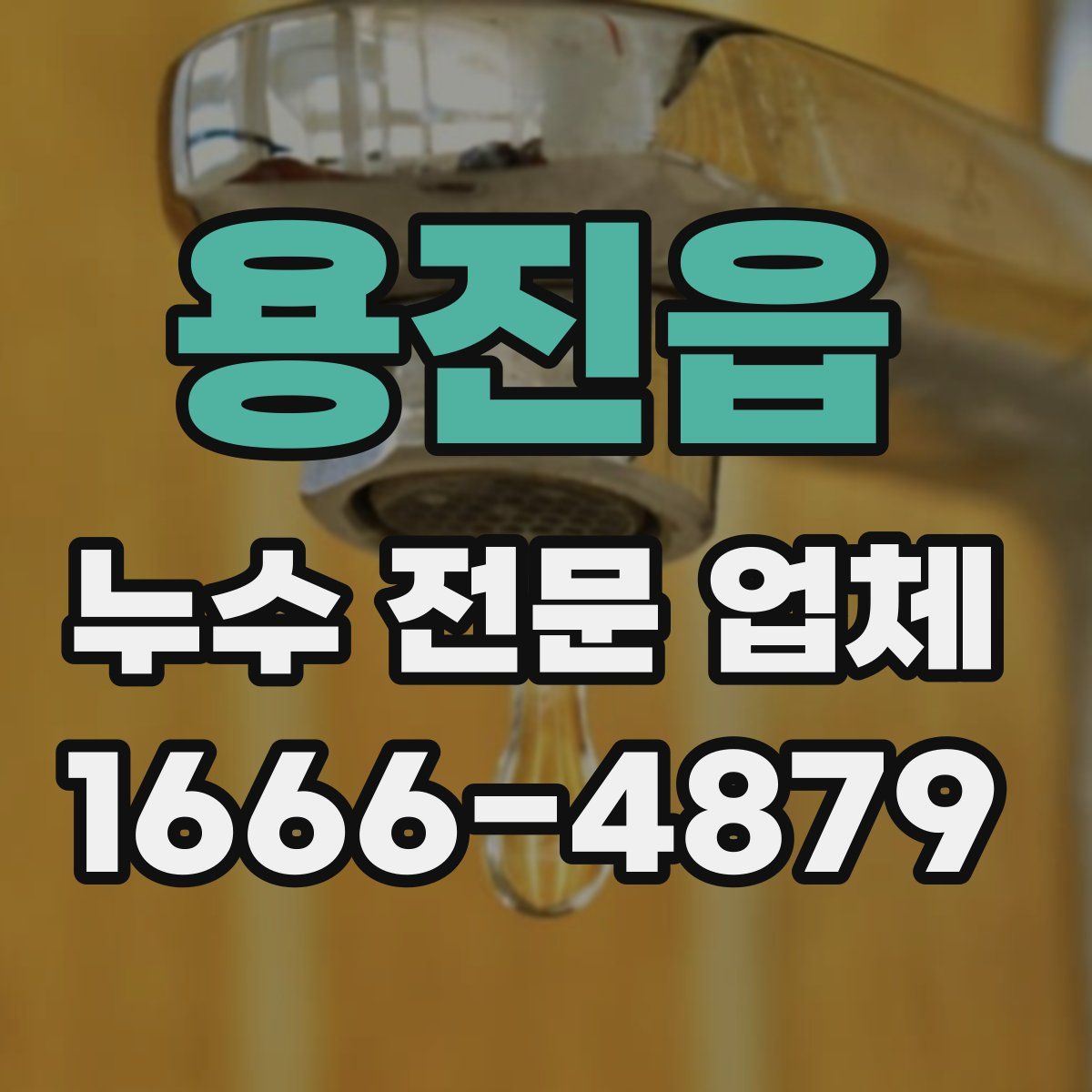 용진읍 누수 전문 업체