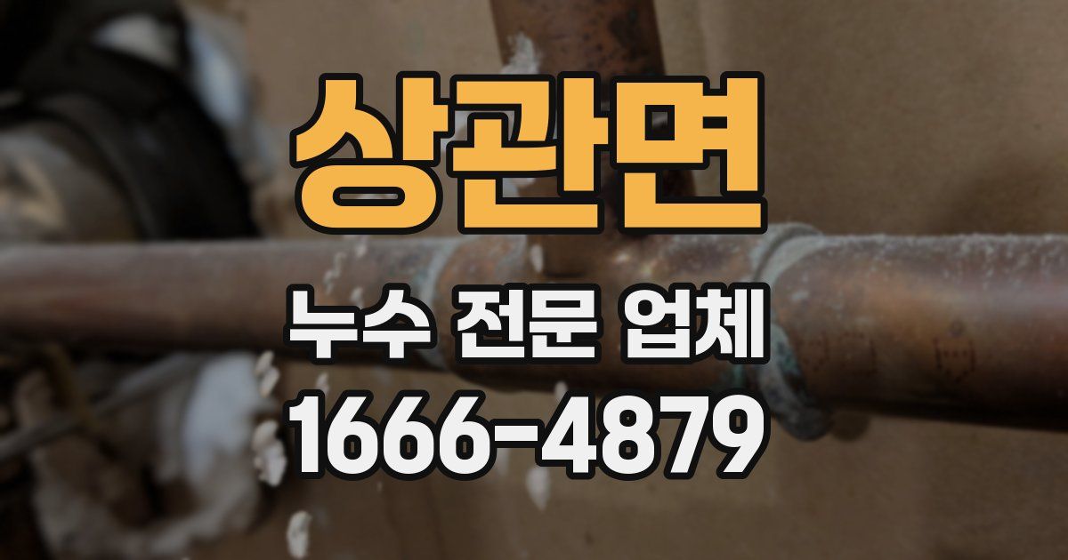 상관면 누수 전문 업체