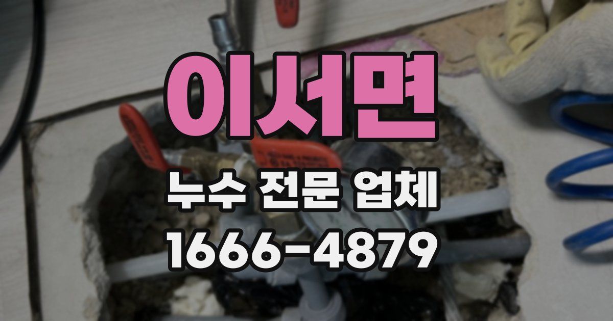 이서면 누수 전문 업체