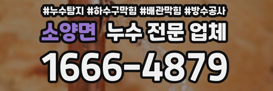 소양면 누수 전문 업체