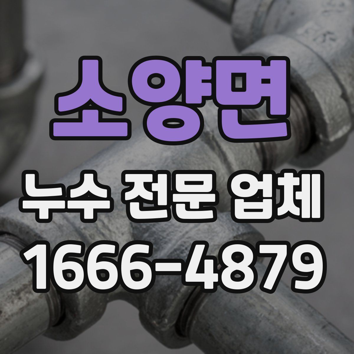 소양면 누수 전문 업체