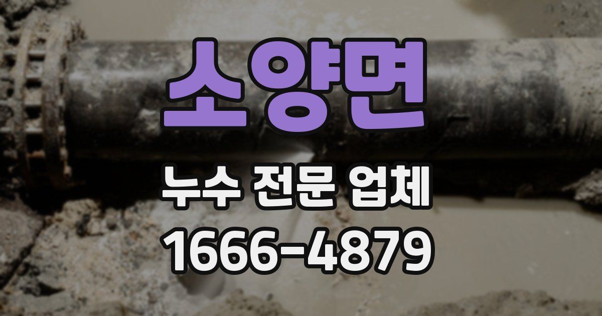 소양면 누수 전문 업체