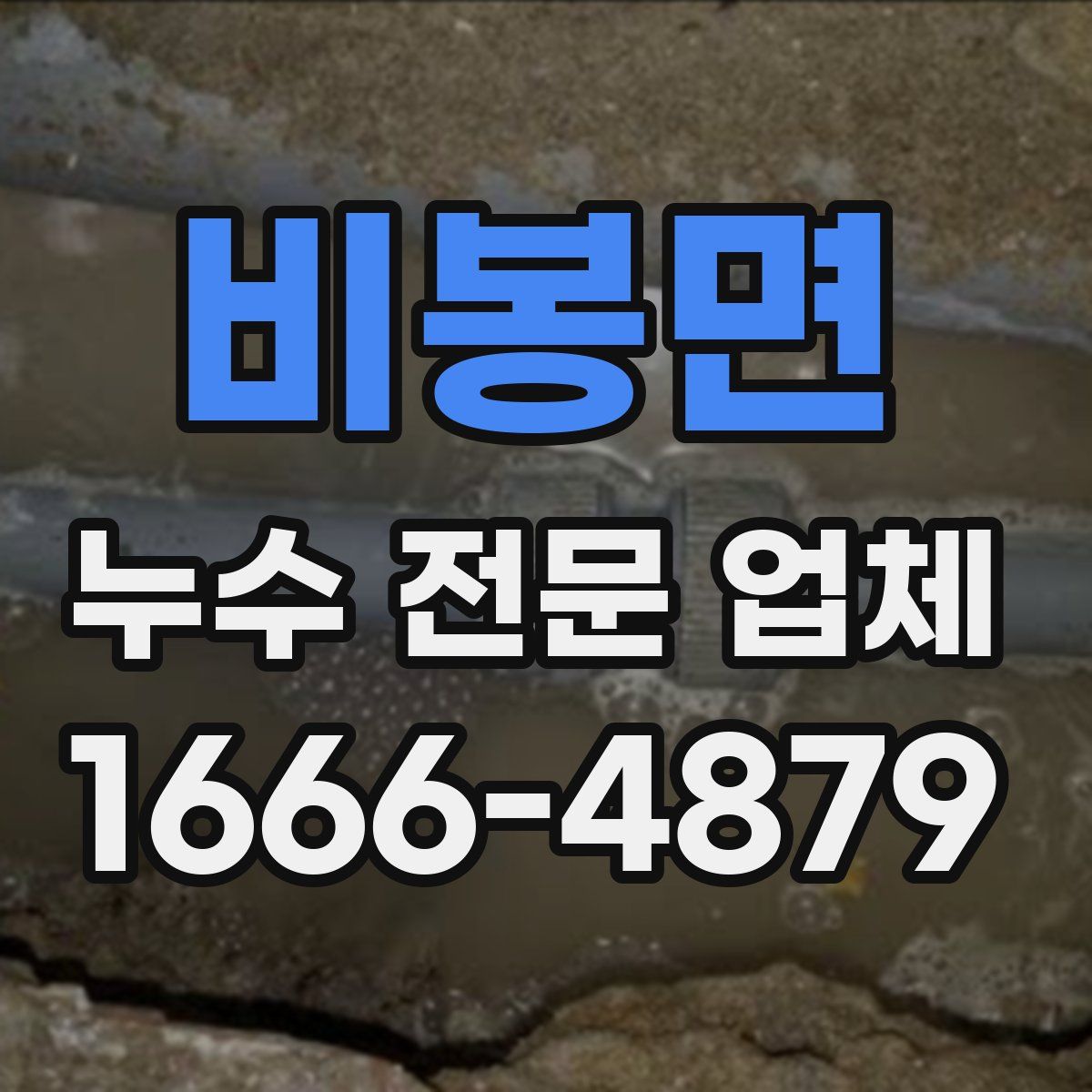 비봉면 누수 전문 업체