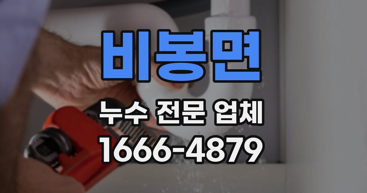 비봉면 누수 전문 업체