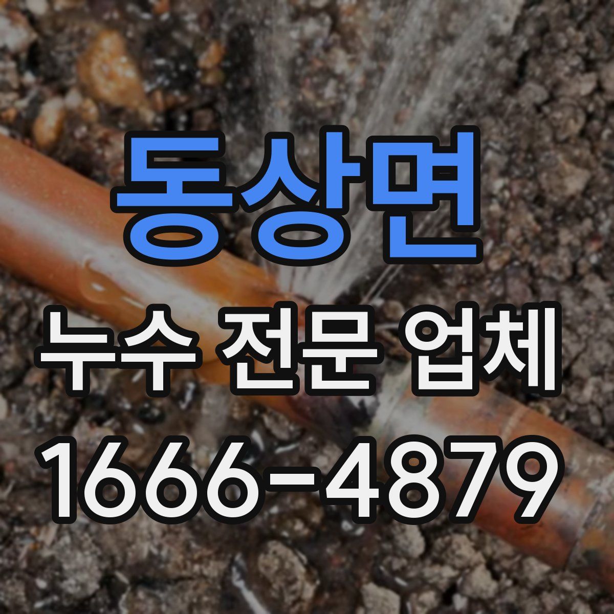 동상면 누수 전문 업체