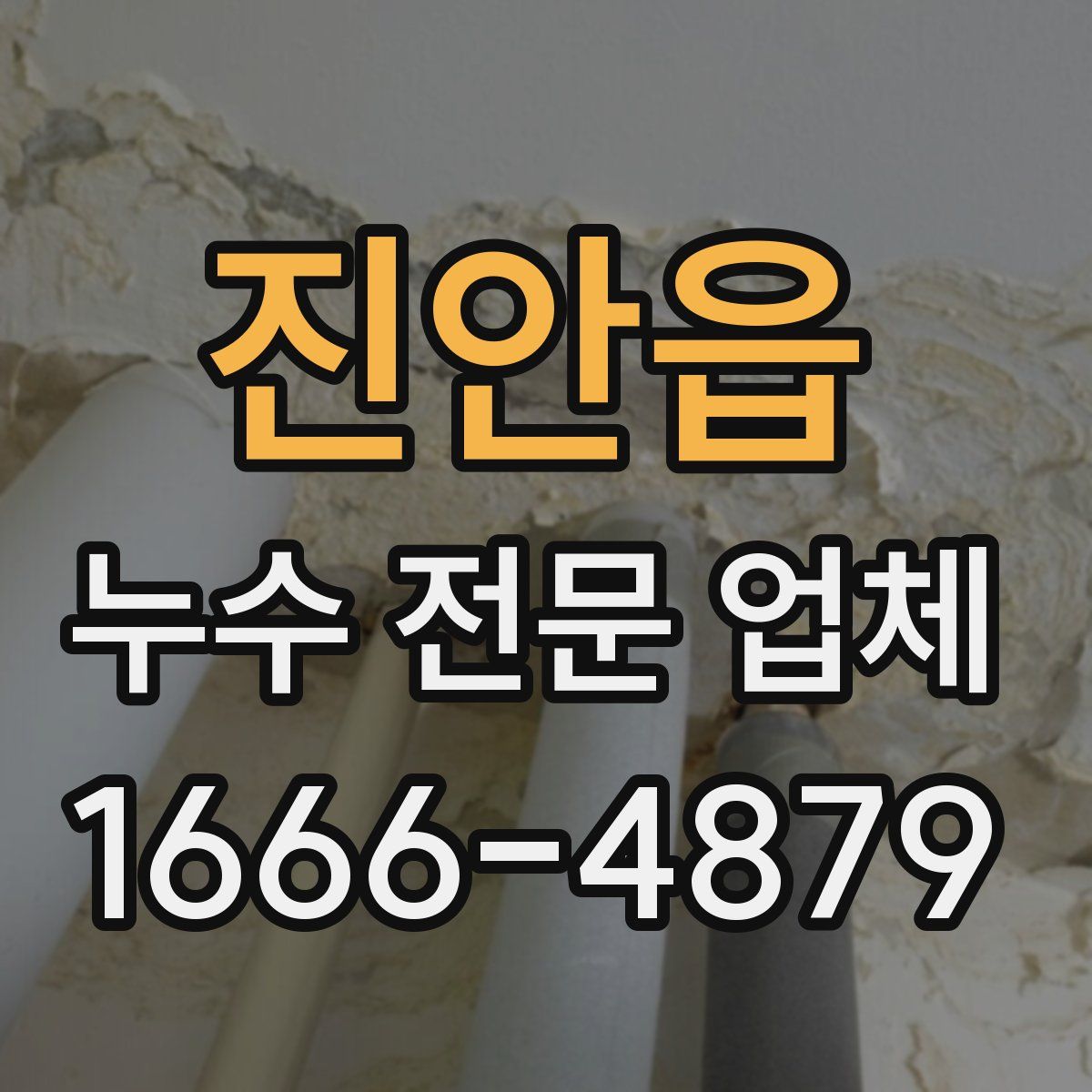 진안읍 누수 전문 업체