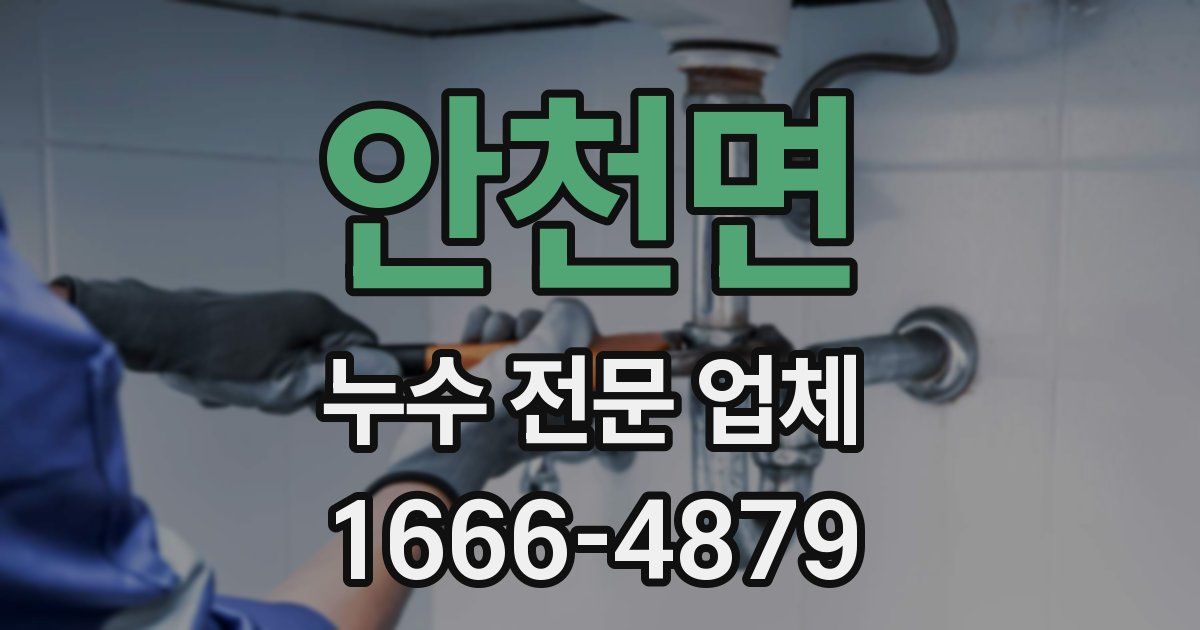 안천면 누수 전문 업체