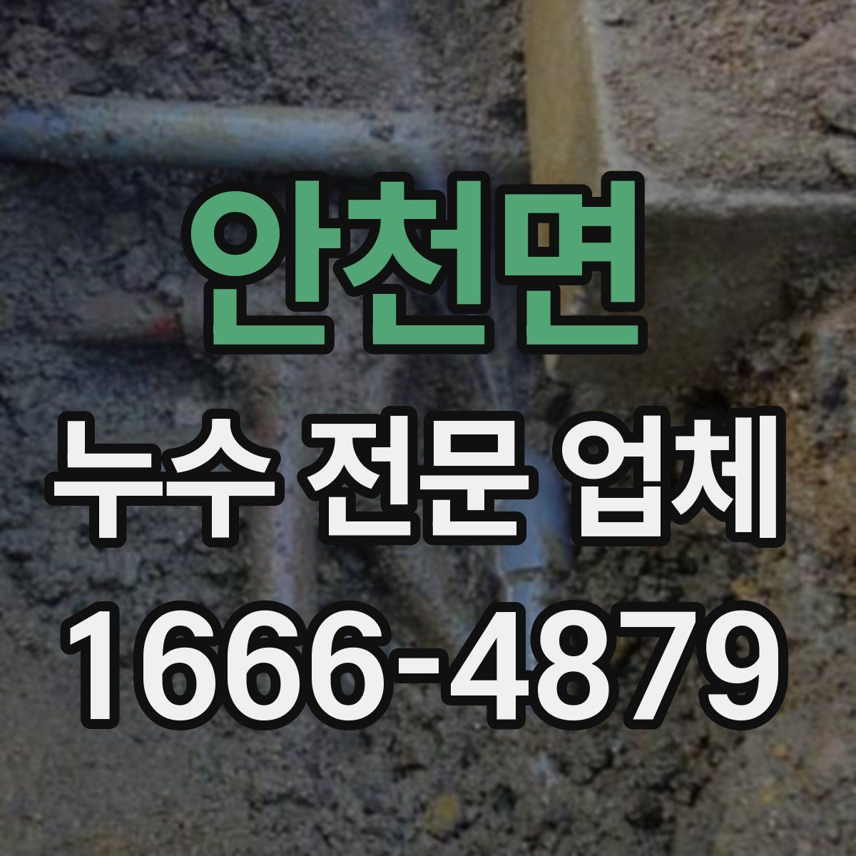 안천면 누수 전문 업체