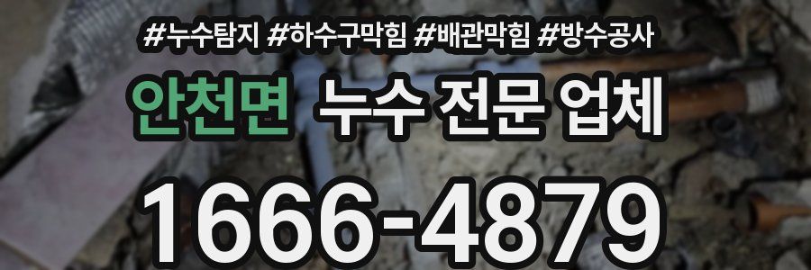 안천면 누수 전문 업체