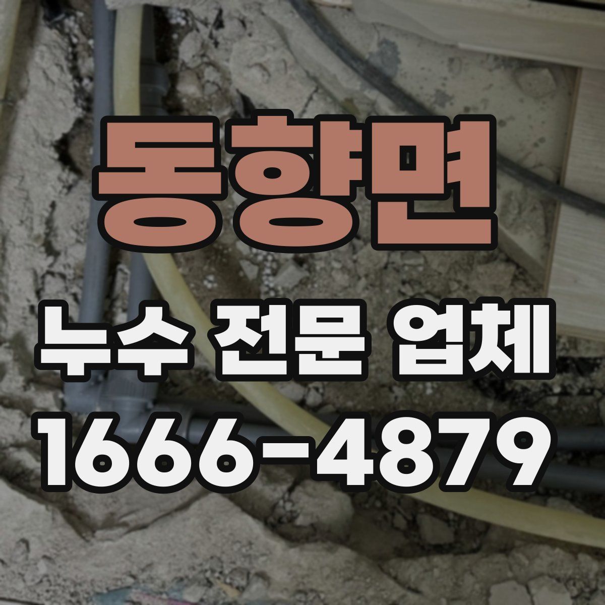 동향면 누수 전문 업체