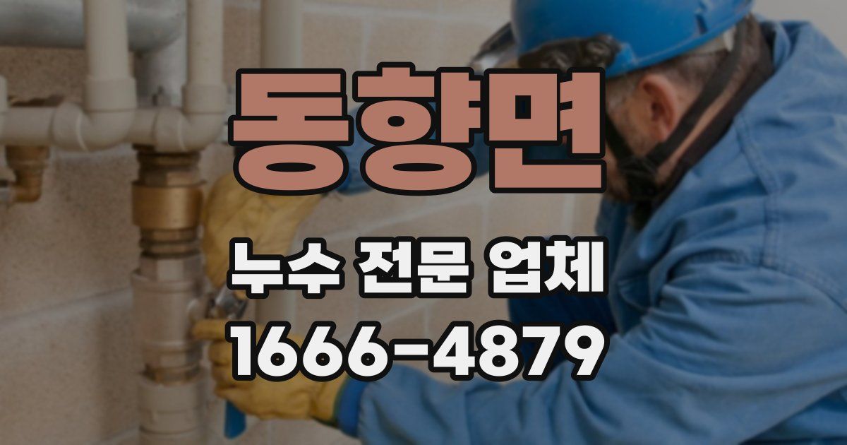 동향면 누수 전문 업체