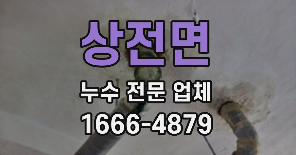 상전면 누수 전문 업체