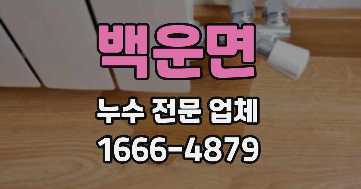 백운면 누수 전문 업체