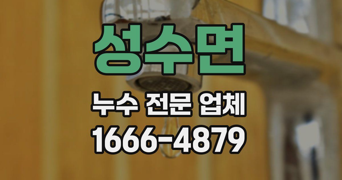 성수면 누수 전문 업체