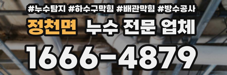 정천면 누수 전문 업체