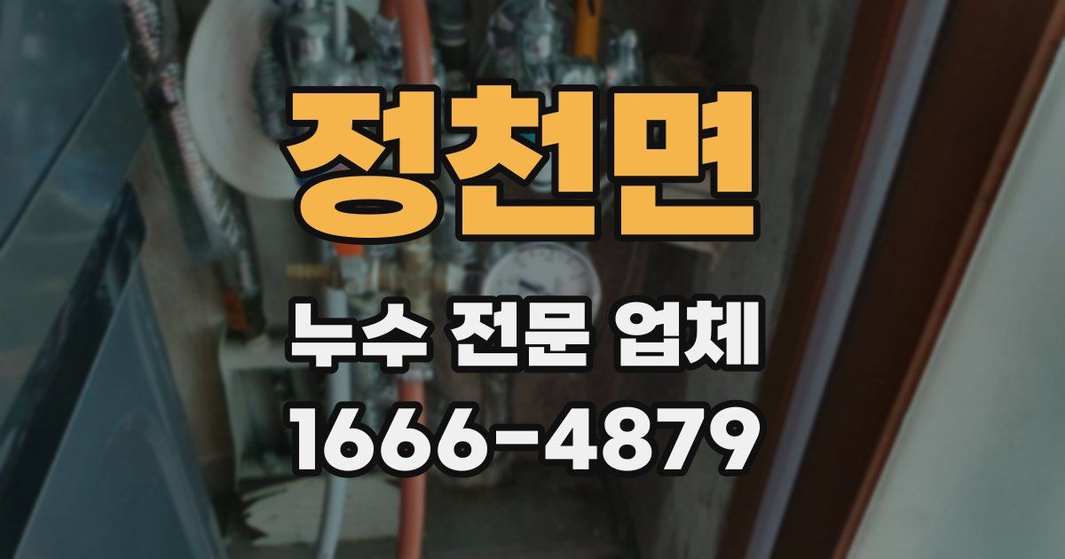 정천면 누수 전문 업체