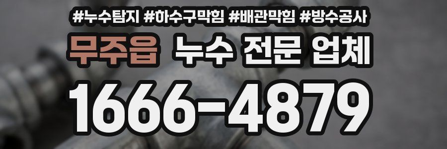 무주읍 누수 전문 업체