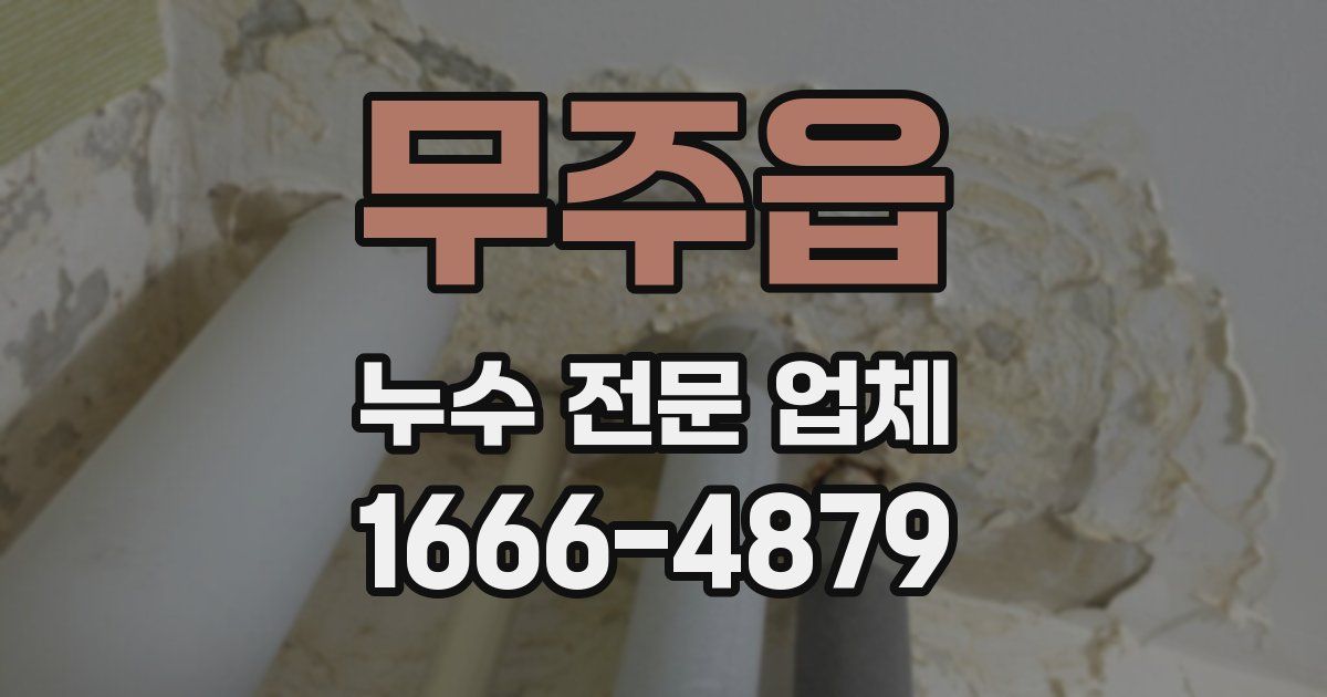 무주읍 누수 전문 업체