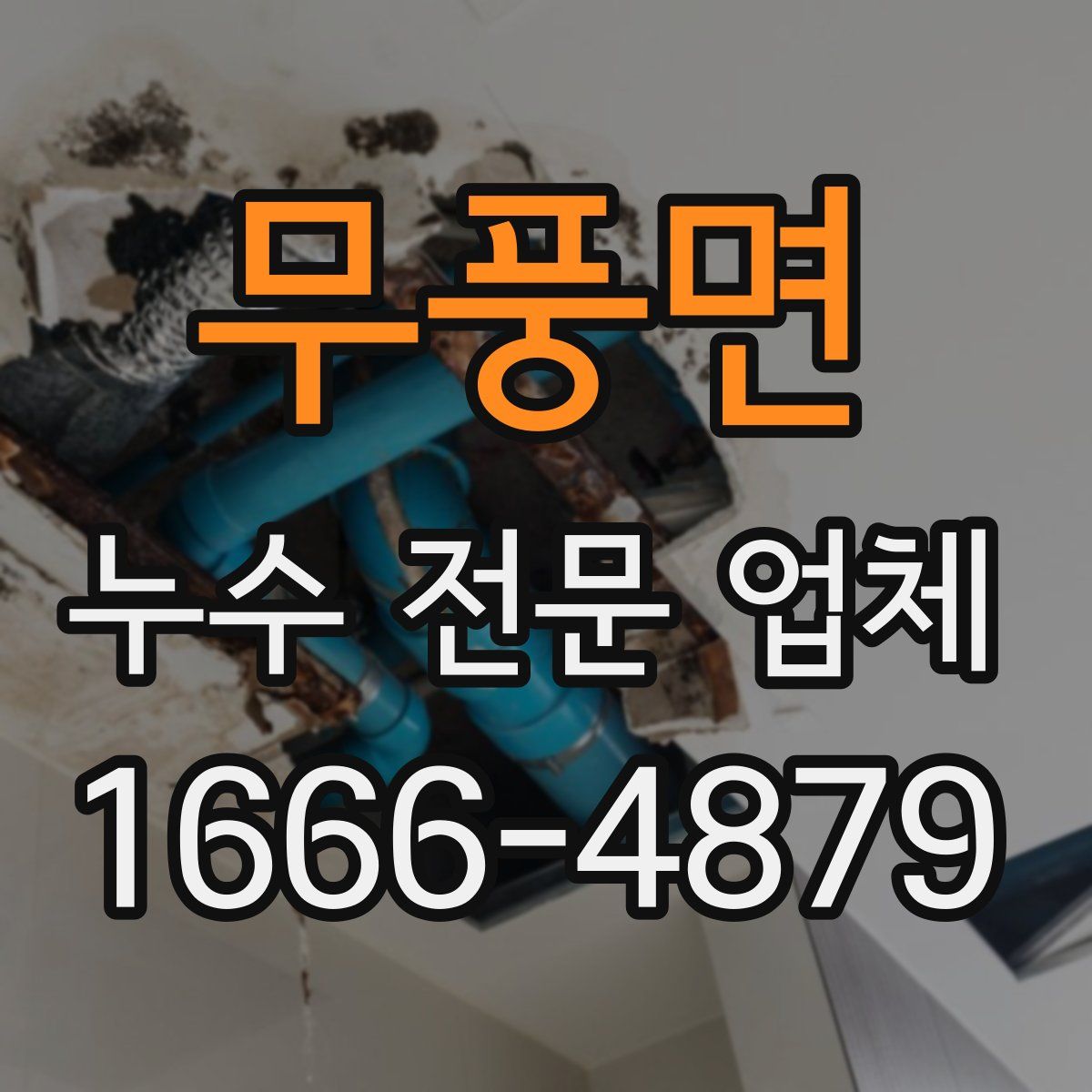 무풍면 누수 전문 업체