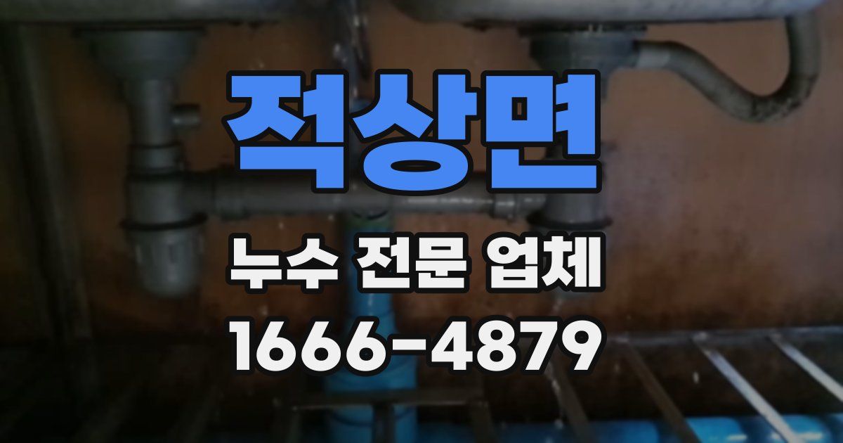 적상면 누수 전문 업체