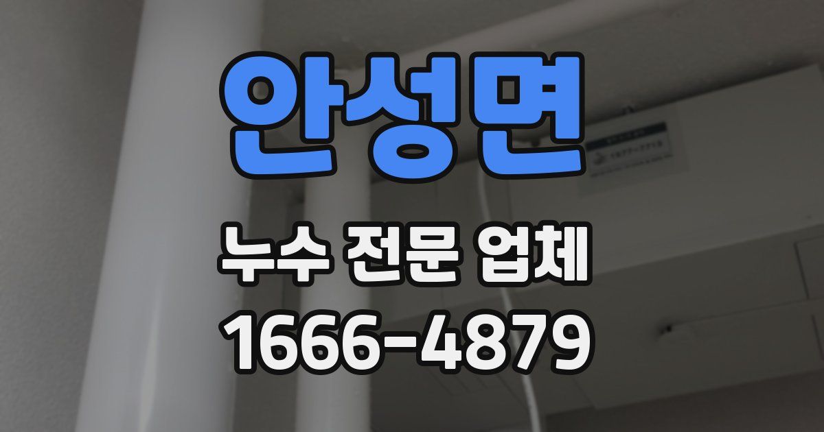 안성면 누수 전문 업체