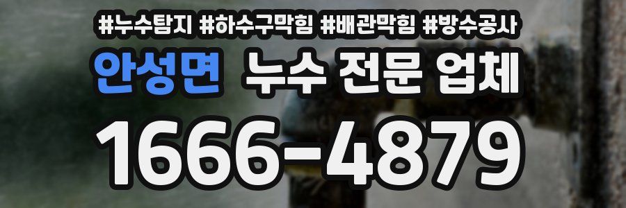 안성면 누수 전문 업체