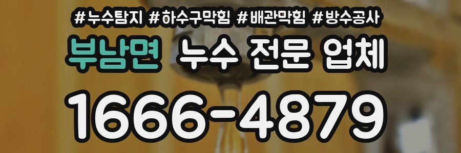 부남면 누수 전문 업체