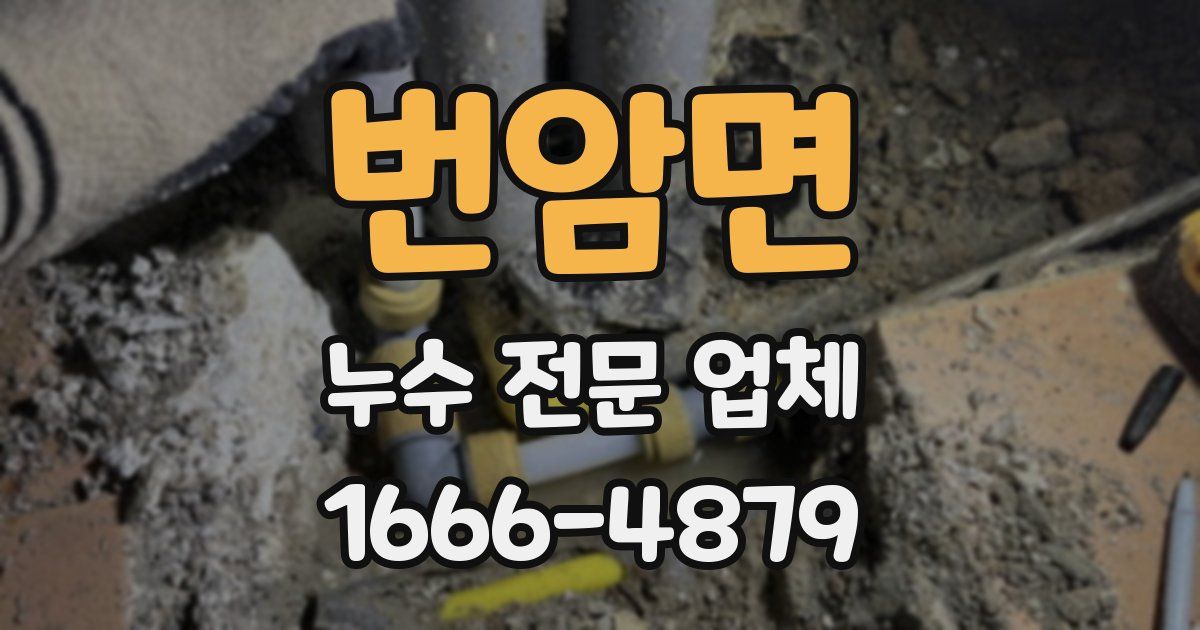 번암면 누수 전문 업체