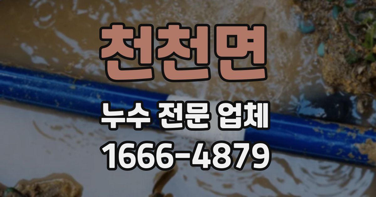 천천면 누수 전문 업체