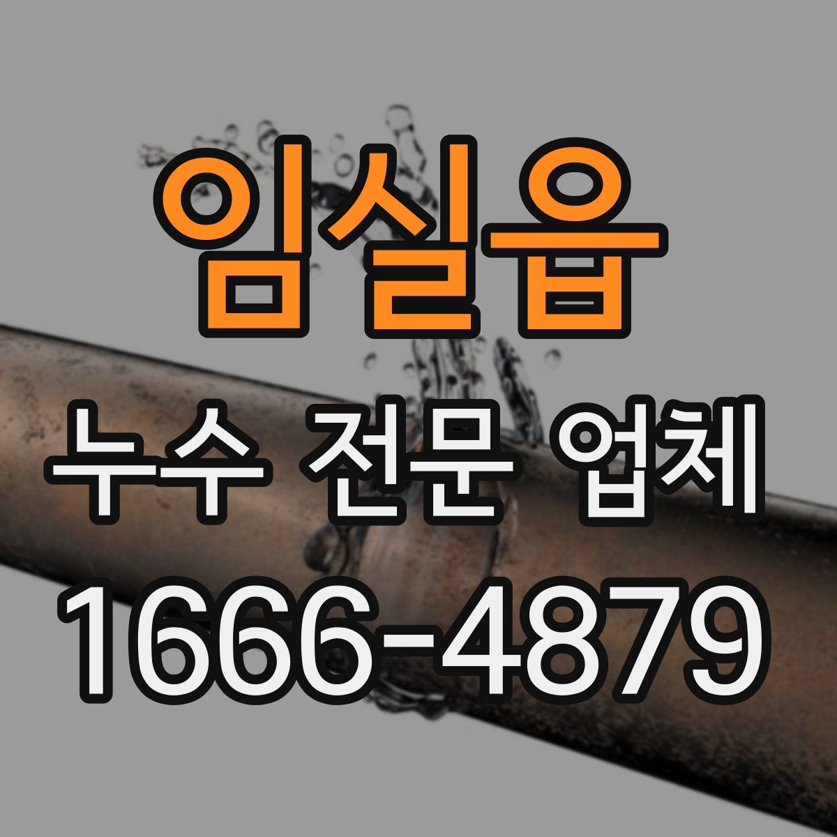 임실읍 누수 전문 업체