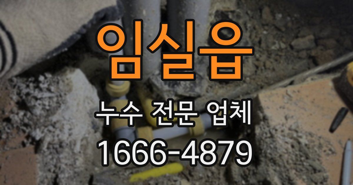 임실읍 누수 전문 업체