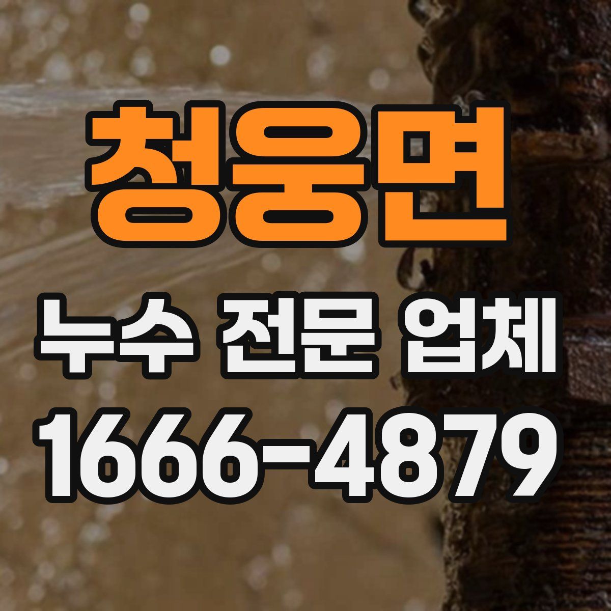 청웅면 누수 전문 업체
