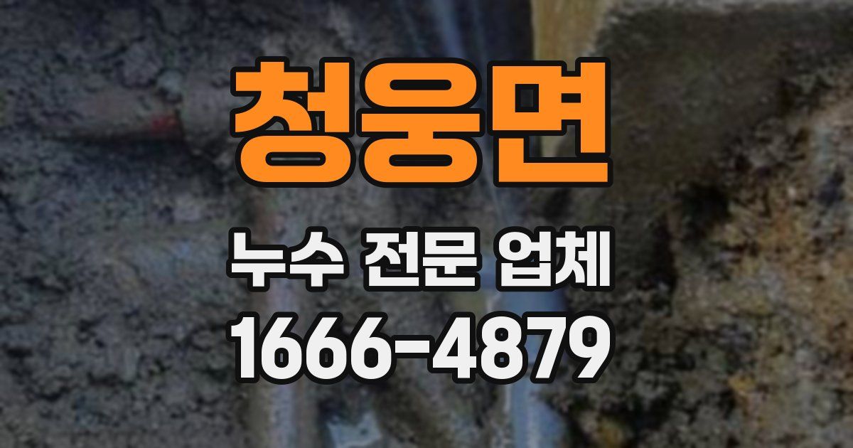 청웅면 누수 전문 업체