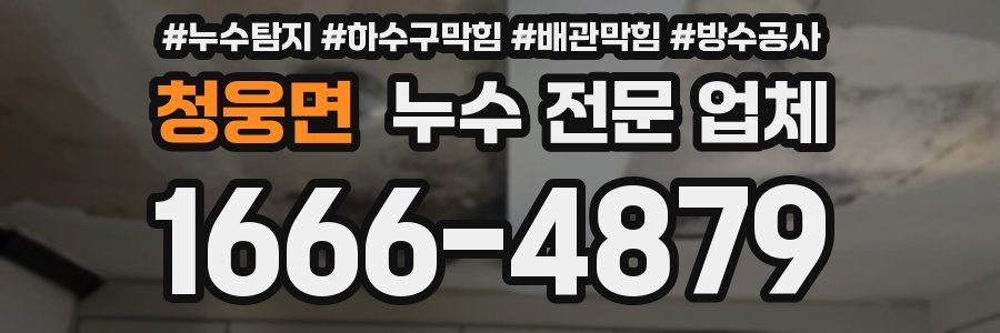 청웅면 누수 전문 업체