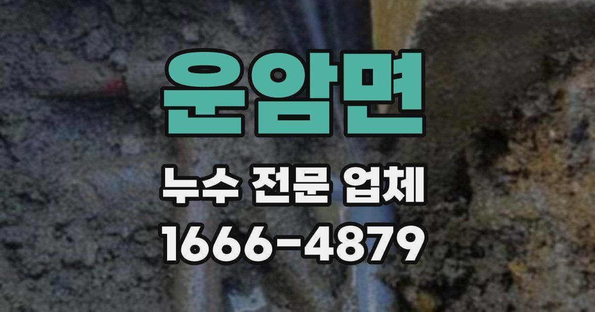 운암면 누수 전문 업체