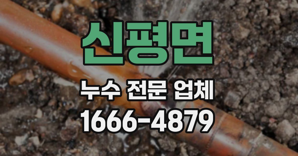 신평면 누수 전문 업체