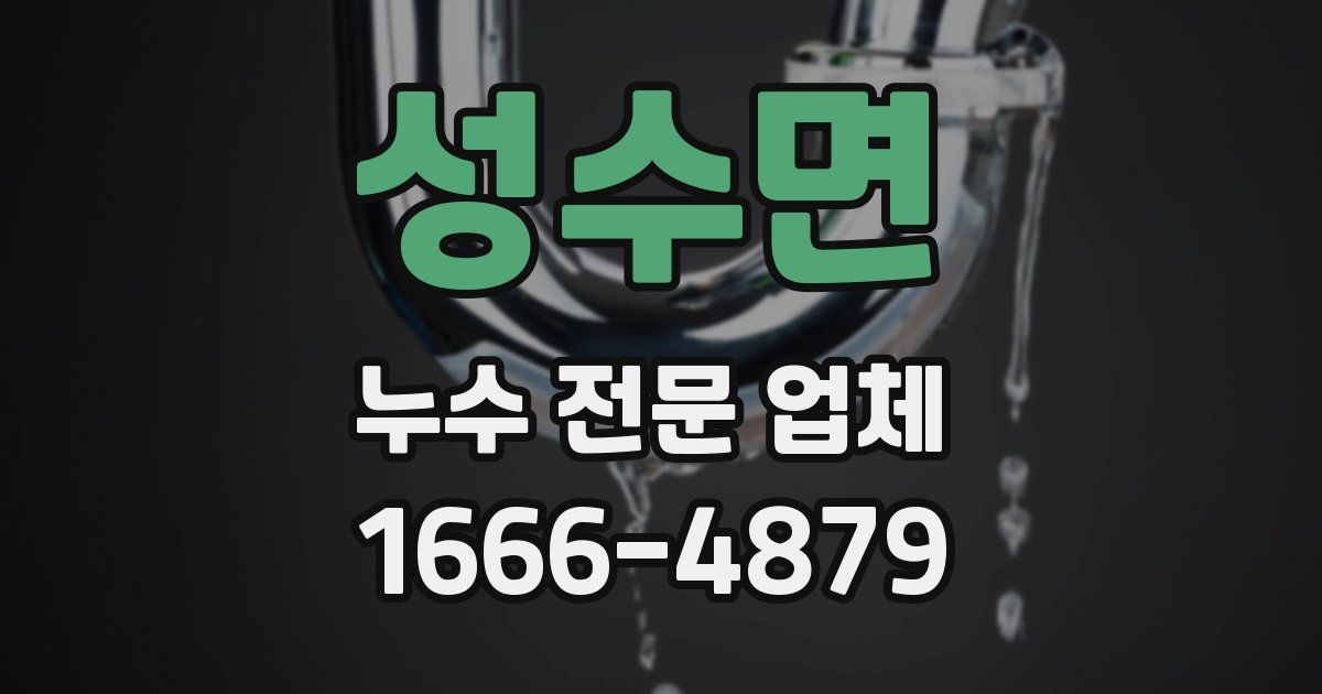 성수면 누수 전문 업체