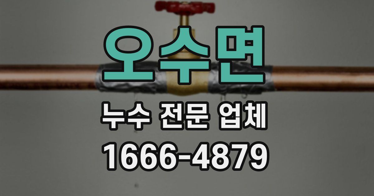 오수면 누수 전문 업체