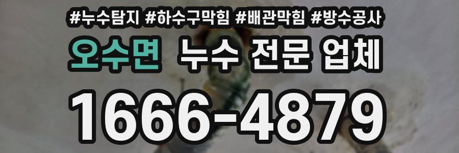 오수면 누수 전문 업체