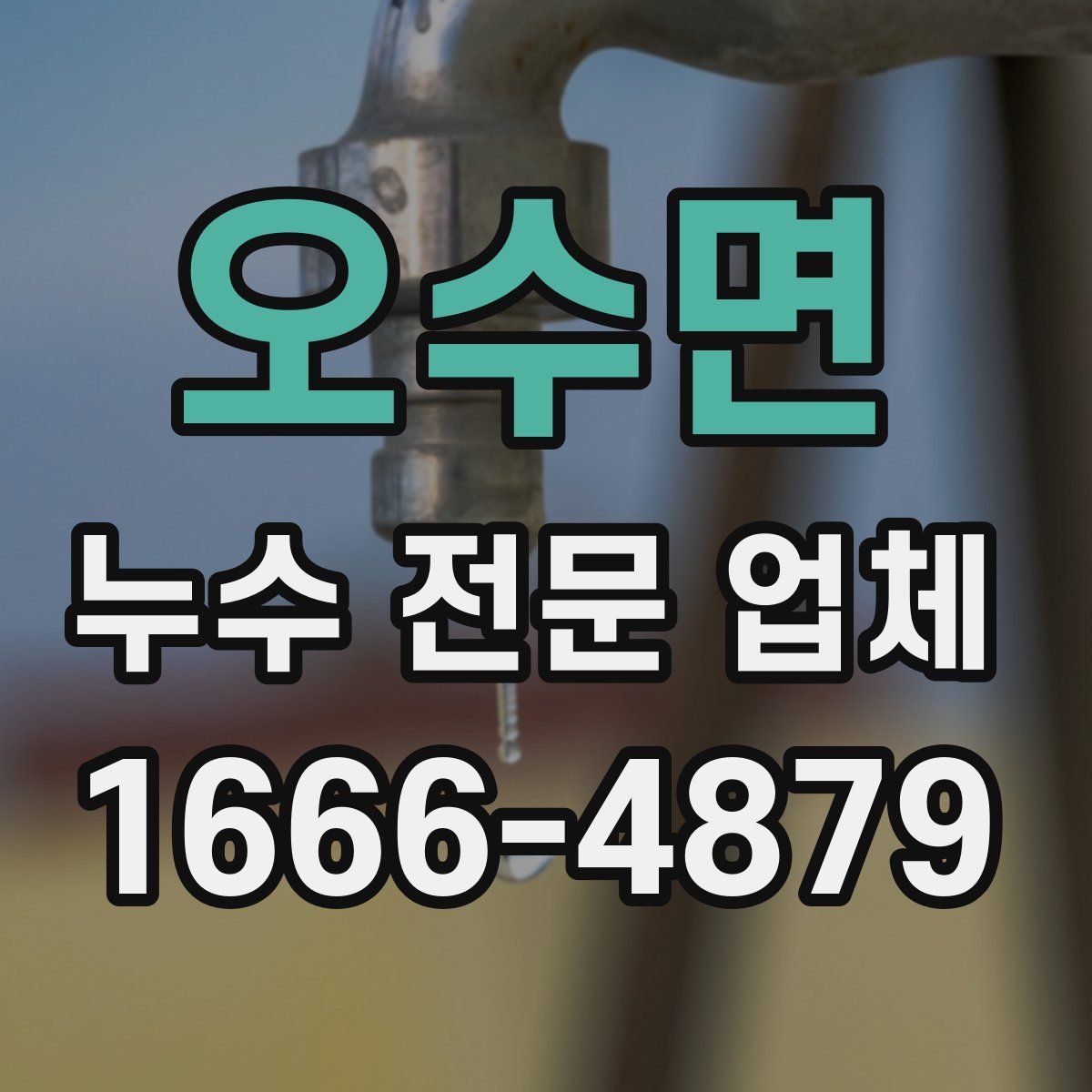 오수면 누수 전문 업체