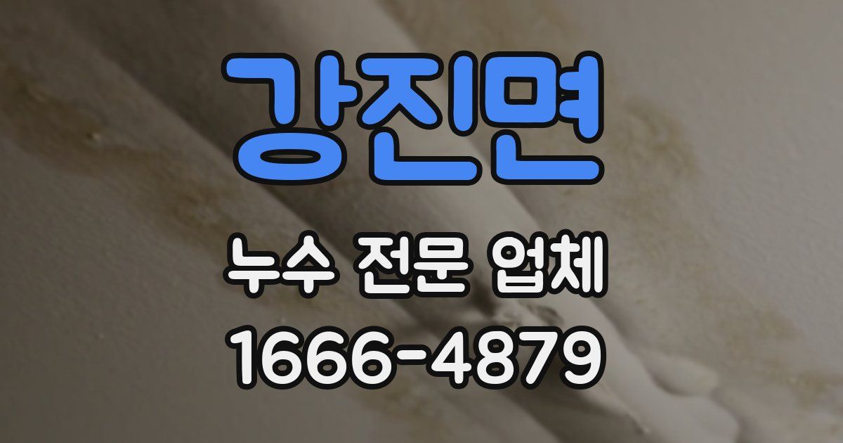 강진면 누수 전문 업체