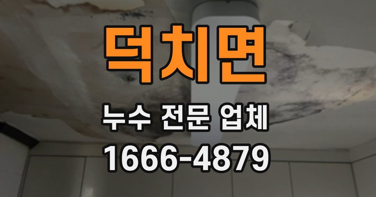 덕치면 누수 전문 업체
