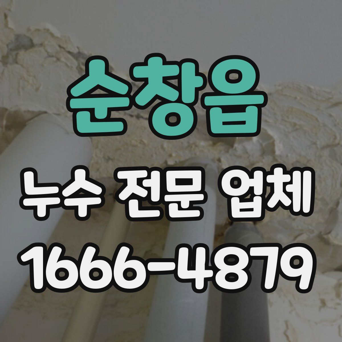 순창읍 누수 전문 업체