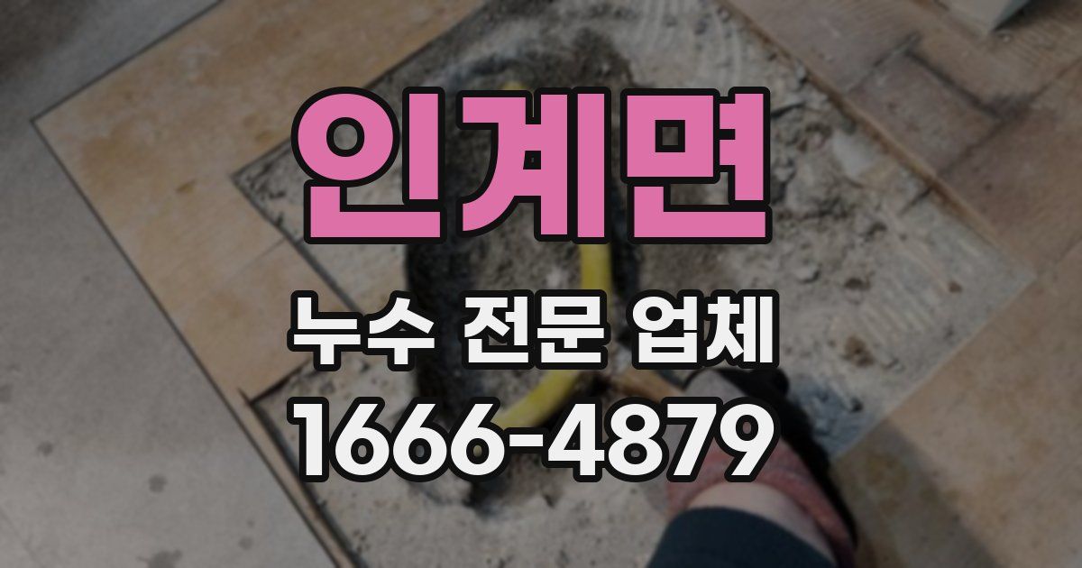 인계면 누수 전문 업체