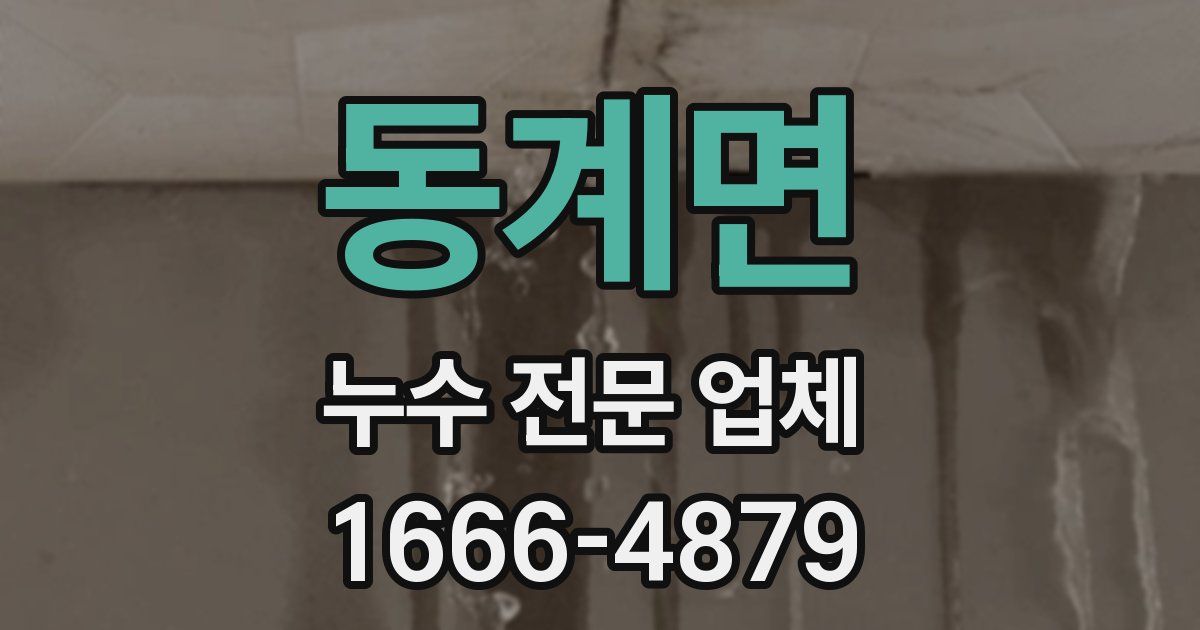 동계면 누수 전문 업체