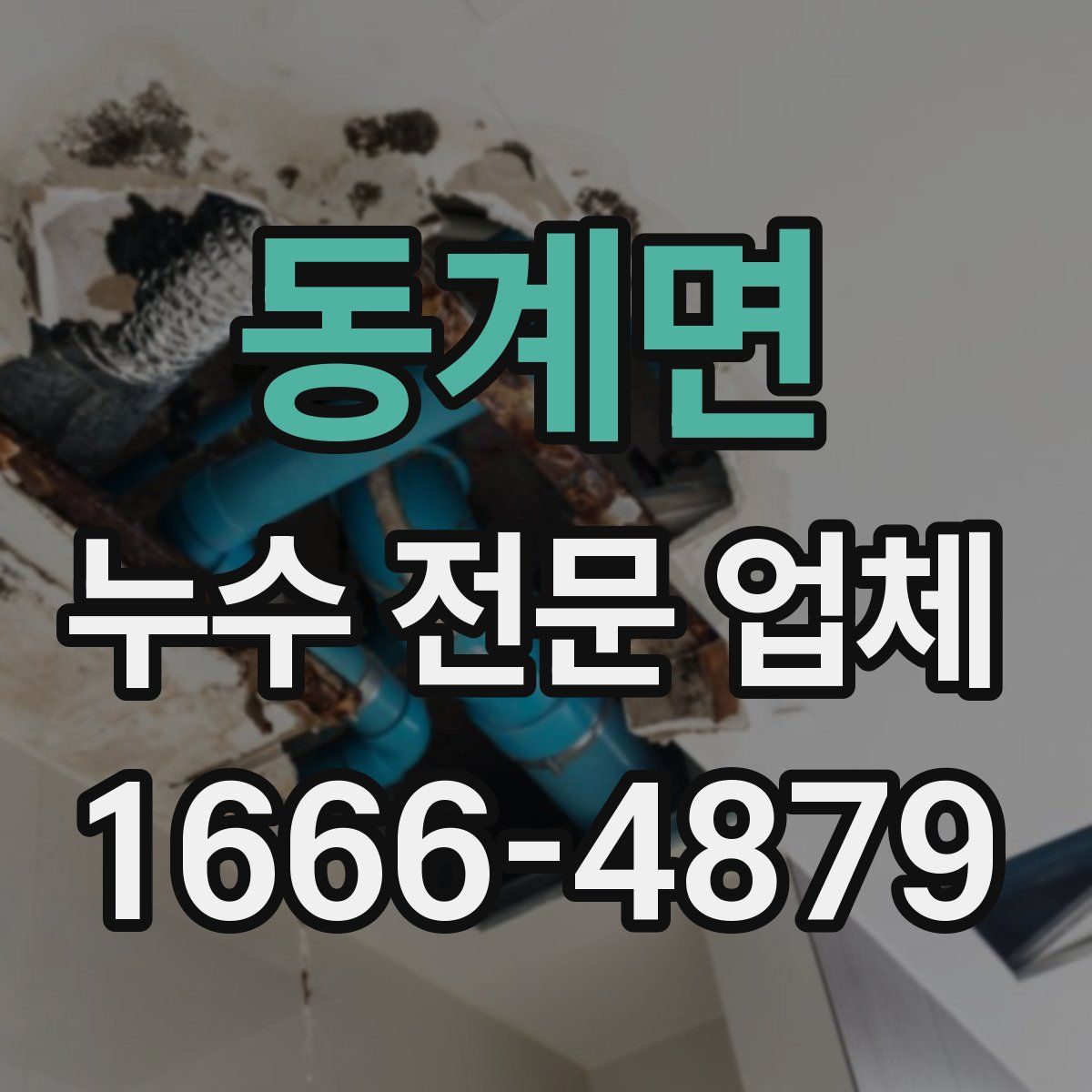 동계면 누수 전문 업체