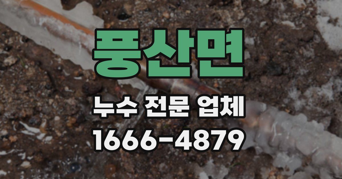 풍산면 누수 전문 업체