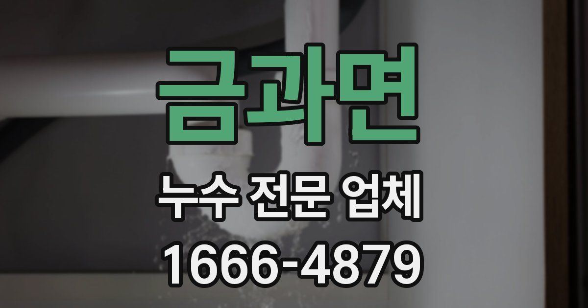 금과면 누수 전문 업체